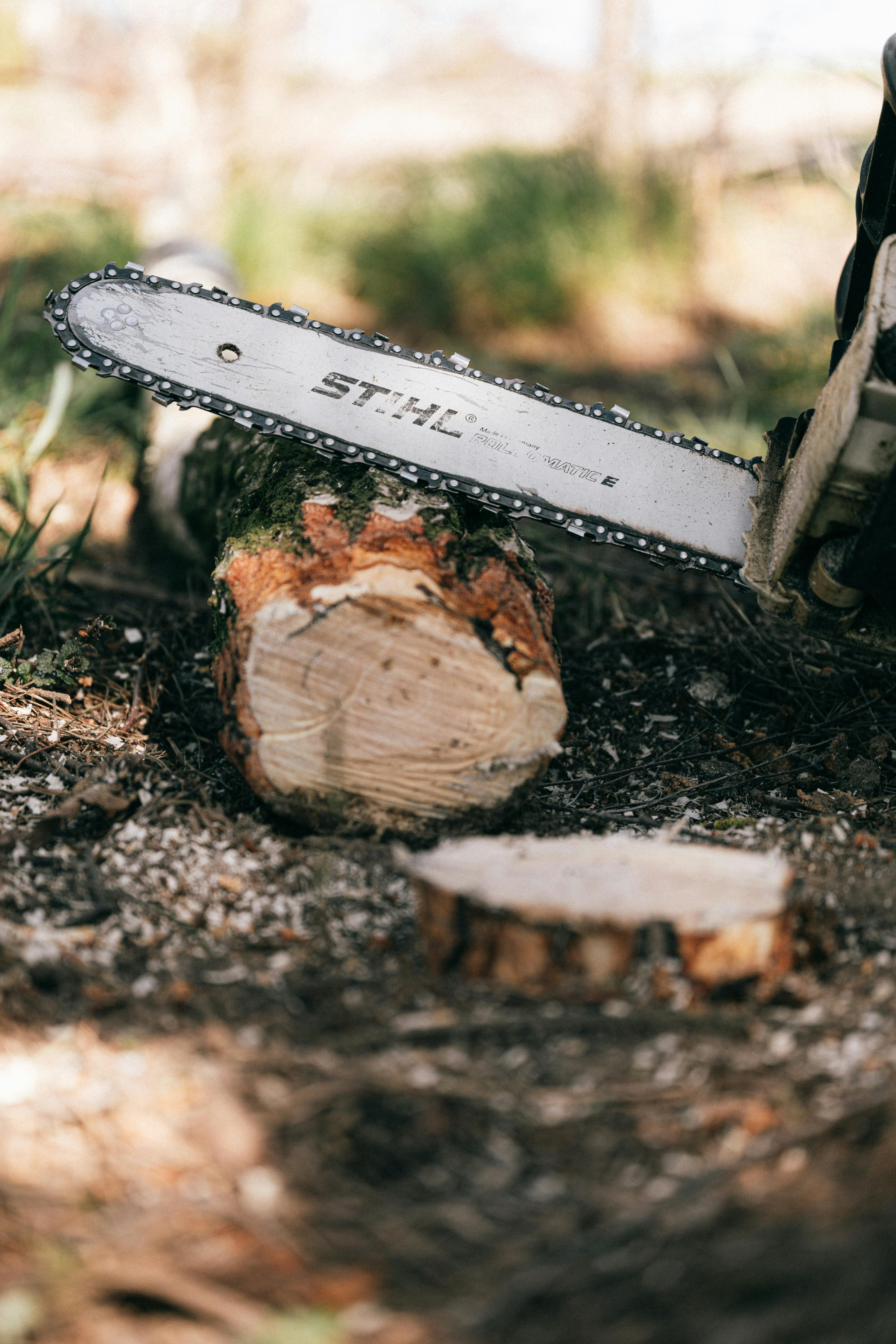 Using Stihl Akku Kettensäge for cutting firewood