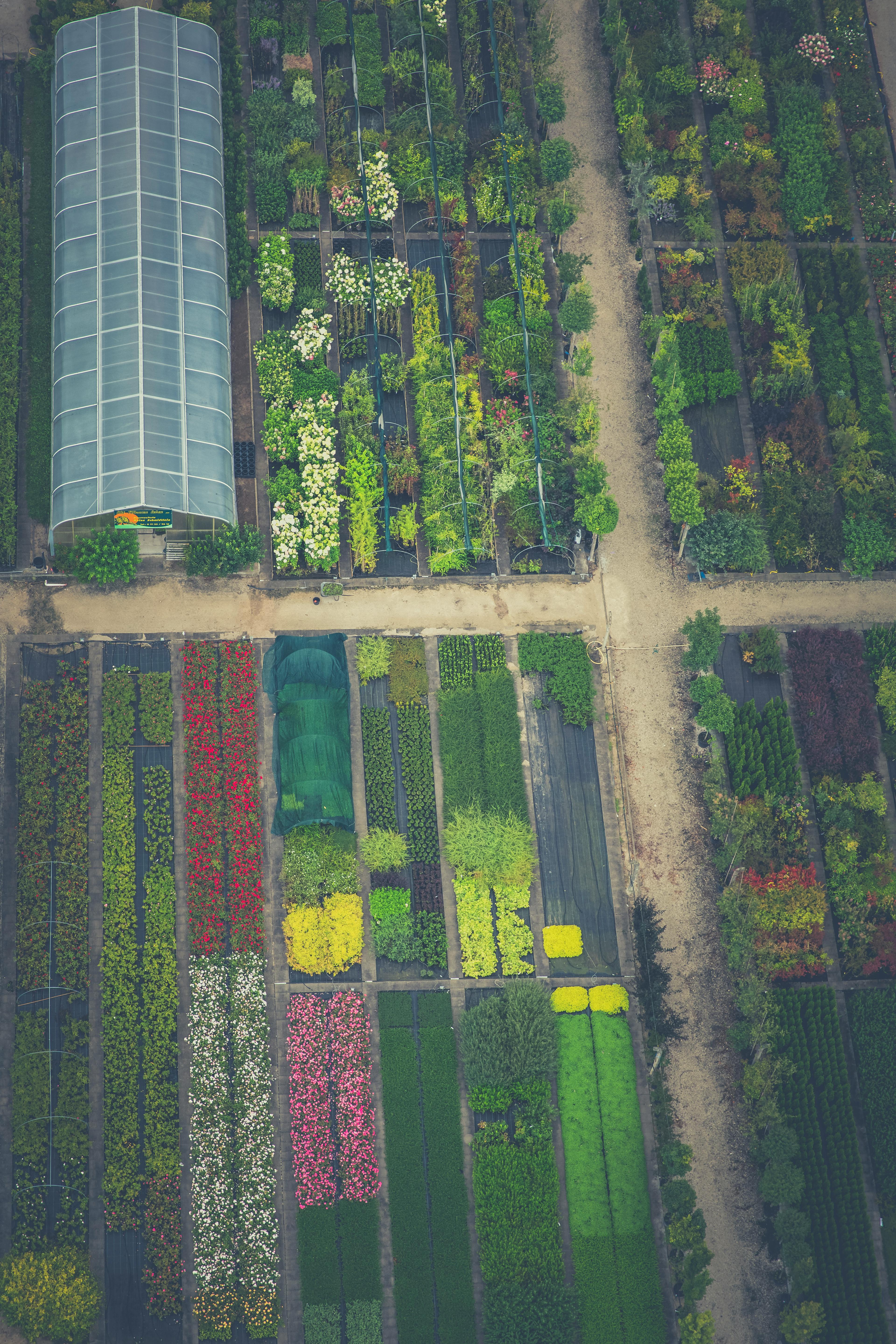 Vorher-Nachher Gartenplanung