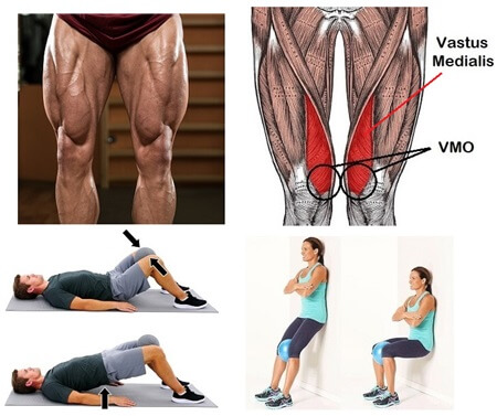 Vastus Medialis Trainieren